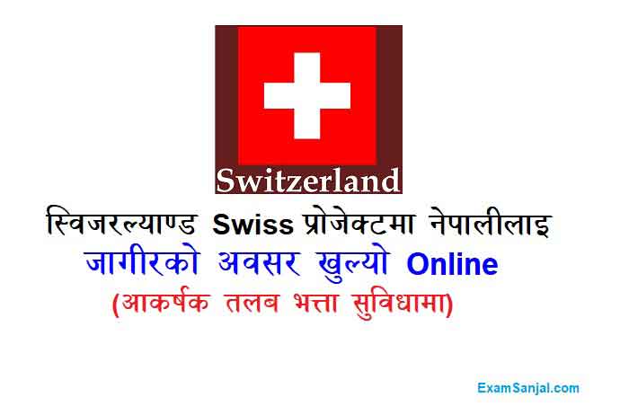 Swiss Project Jobs Nepal Helvetas Nepal Vacancy NGO INGO Jobs Career Opportunity