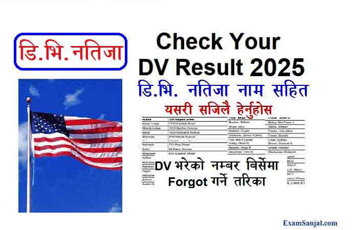 DV Lottery 2025 Result Check DV Program state gov America USA EDV Visa Result Name