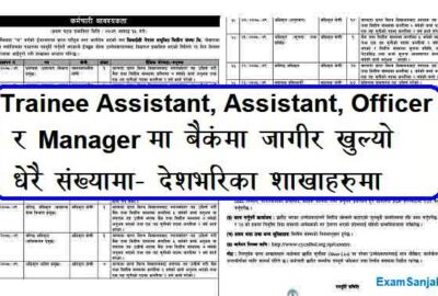 Prime Commercial Bank Job Vacancy Apply Bank Jobs in Nepal