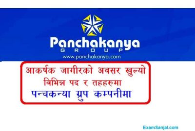 Panchakanya Group Company Job Vacancy Apply Panchakanya Group Career Opportunity